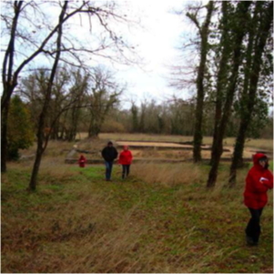 Feuchtgebiete im Medoc 4