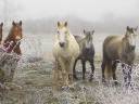Photographies du mois