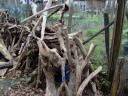 Skulpturen aus Treibholz