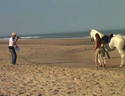 Fotoshooting am Strand von Vensac