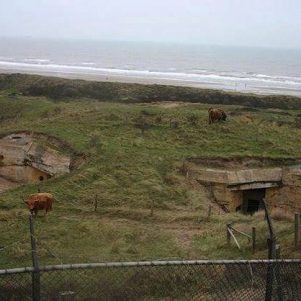 bunkers