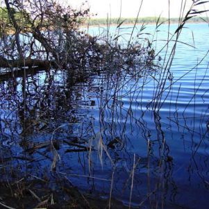 ETANG VON COUSSEAU