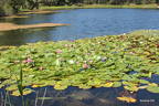 Secret Little Lakes