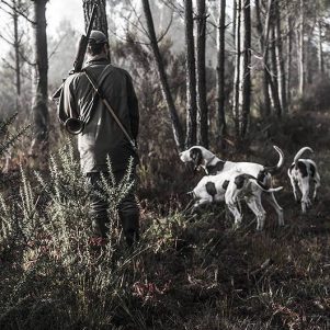 Matinée de chasse