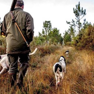 Matinée de chasse