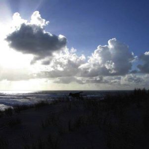 Februar im Médoc 3