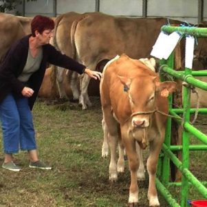 Der Comice agricole in Saint Vivien