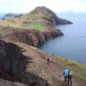 Médoc - Madeira