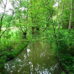 Marais Poitevin 3