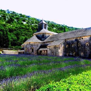 Provence et Camargue 8