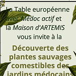 plantes sauvages