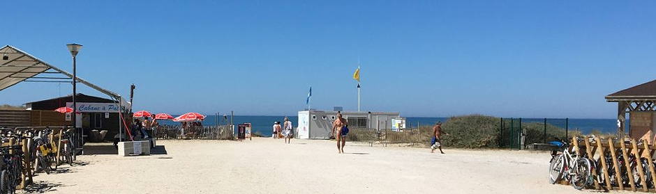 Les surveillants des plages à EURONAT