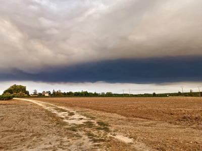 Incendie de forêt dans le Médoc