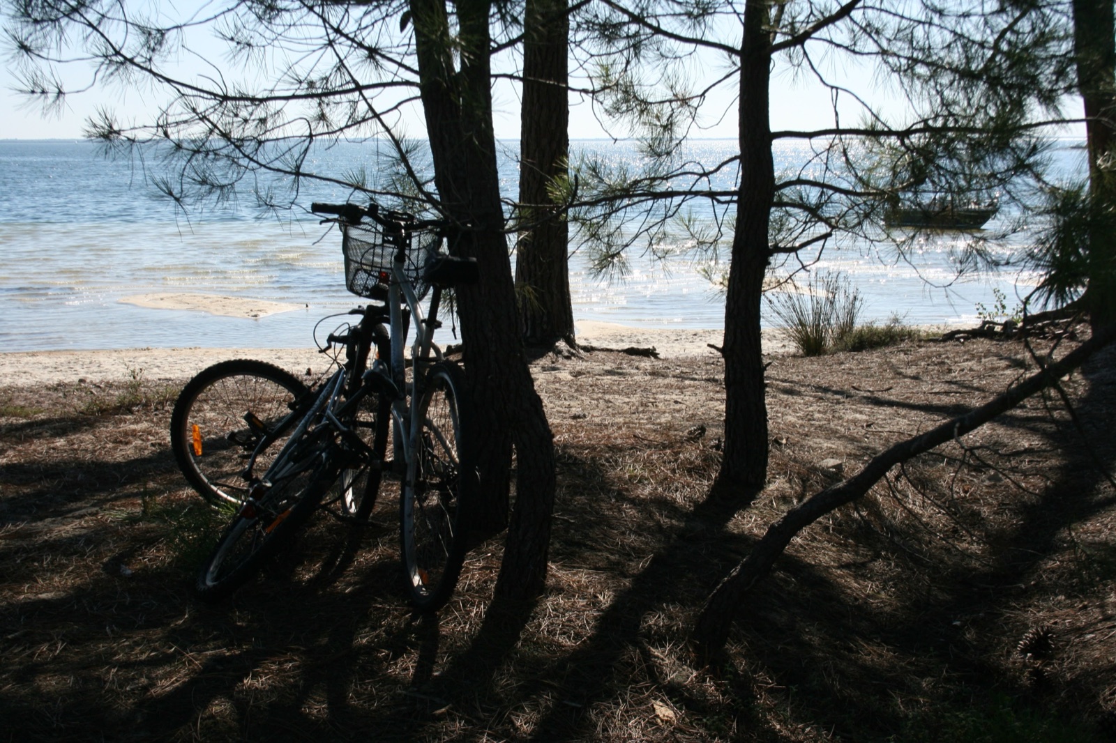 Pause à vélo au bord de l’eau dans le Médoc