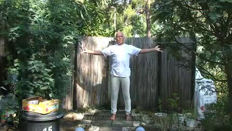 qi gong