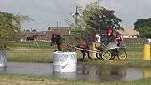 Concours d'attelage à Saint-Vivien-de Médoc