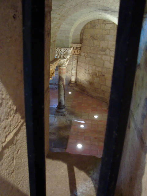 Sortie en Chalosse — photographie 12