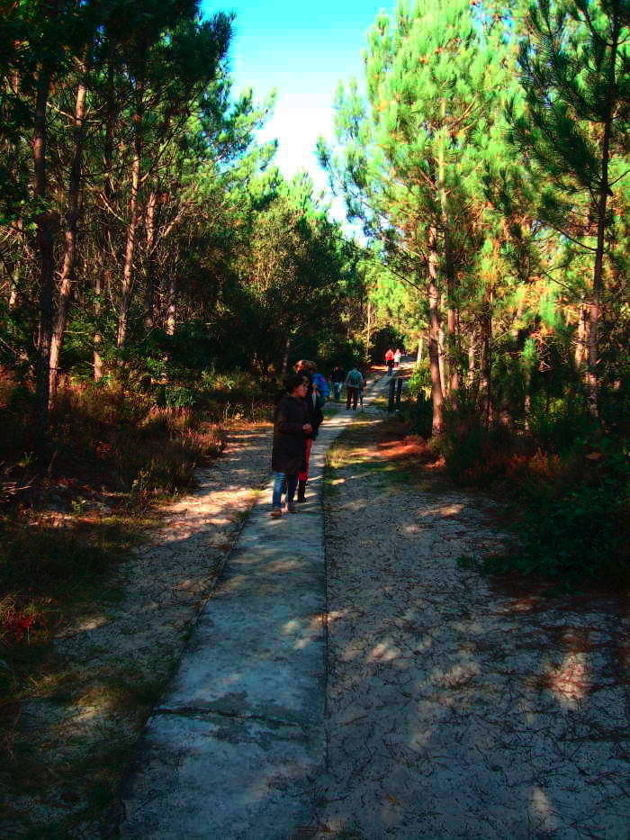 Étang de Cousseau — photographie 3