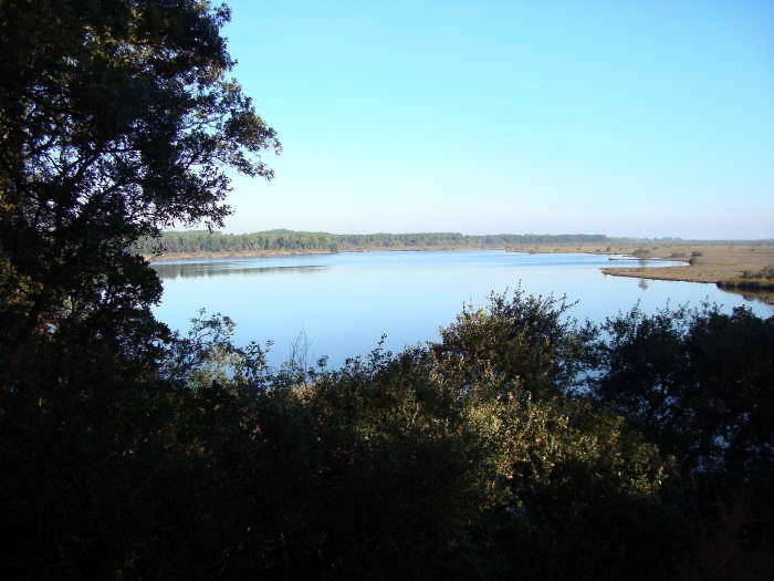 Étang de Cousseau — photographie 9