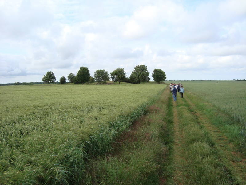 Sortie à Melle — photographie 14