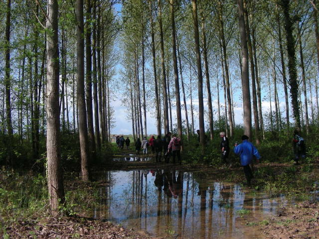 Domaine de Pachan — photographie 8