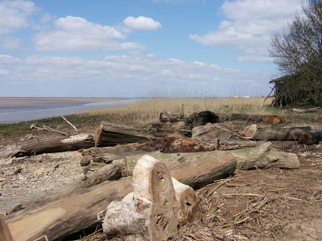 Une journée sur l’île de Patiras — photographie 28