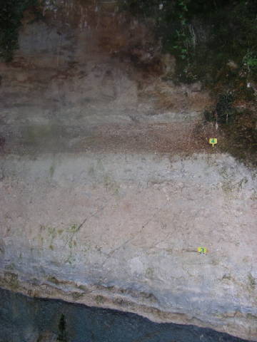 Réserve géologique de Saucats — photographie 4