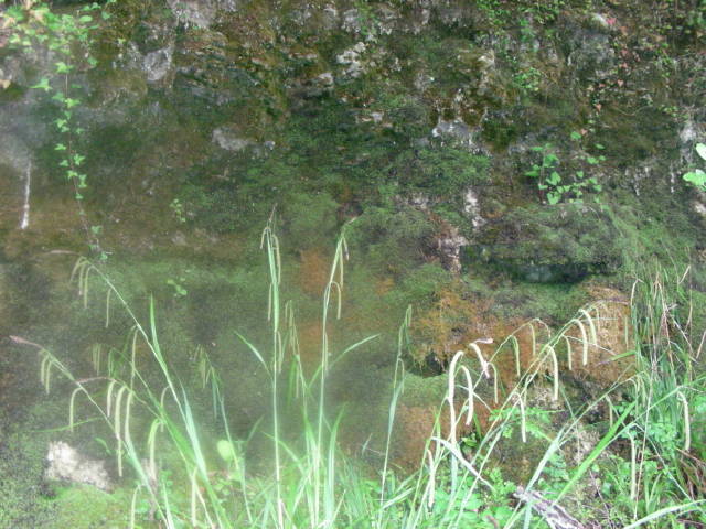 Réserve géologique de Saucats — photographie 7
