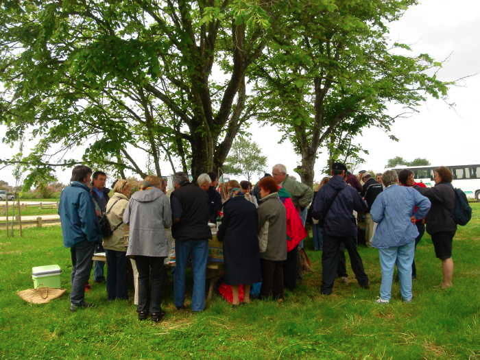 Talmont et le site du Fâ — photographie 12