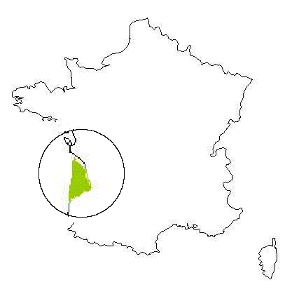 Carte de France situant le Médoc
