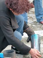 demo raku